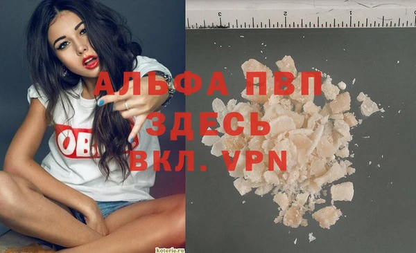 винт Алексин