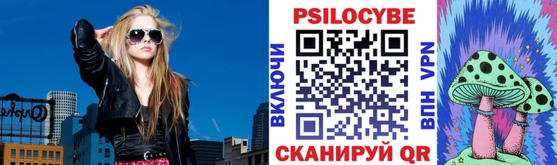 hydra tor  Кольчугино  Псилоцибиновые грибы Psilocybine cubensis 